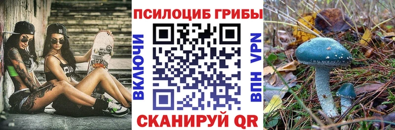 что такое наркотик  Власиха  Галлюциногенные грибы MAGIC MUSHROOMS 